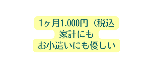 1ヶ月1 000円 税込 家計にも お小遣いにも優しい